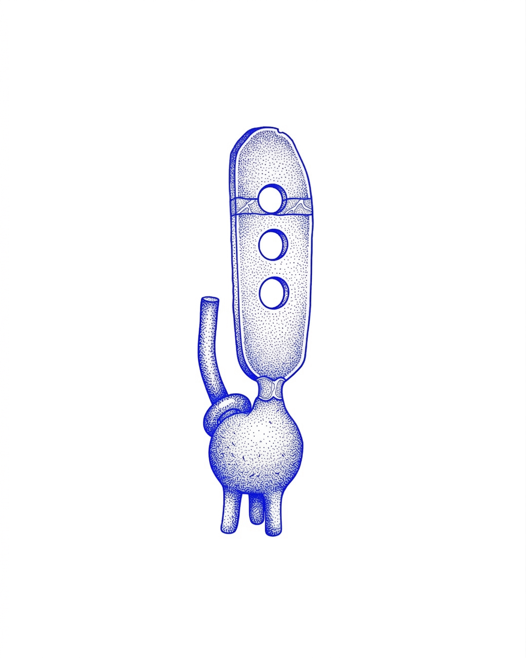 PETITE PLAQUE